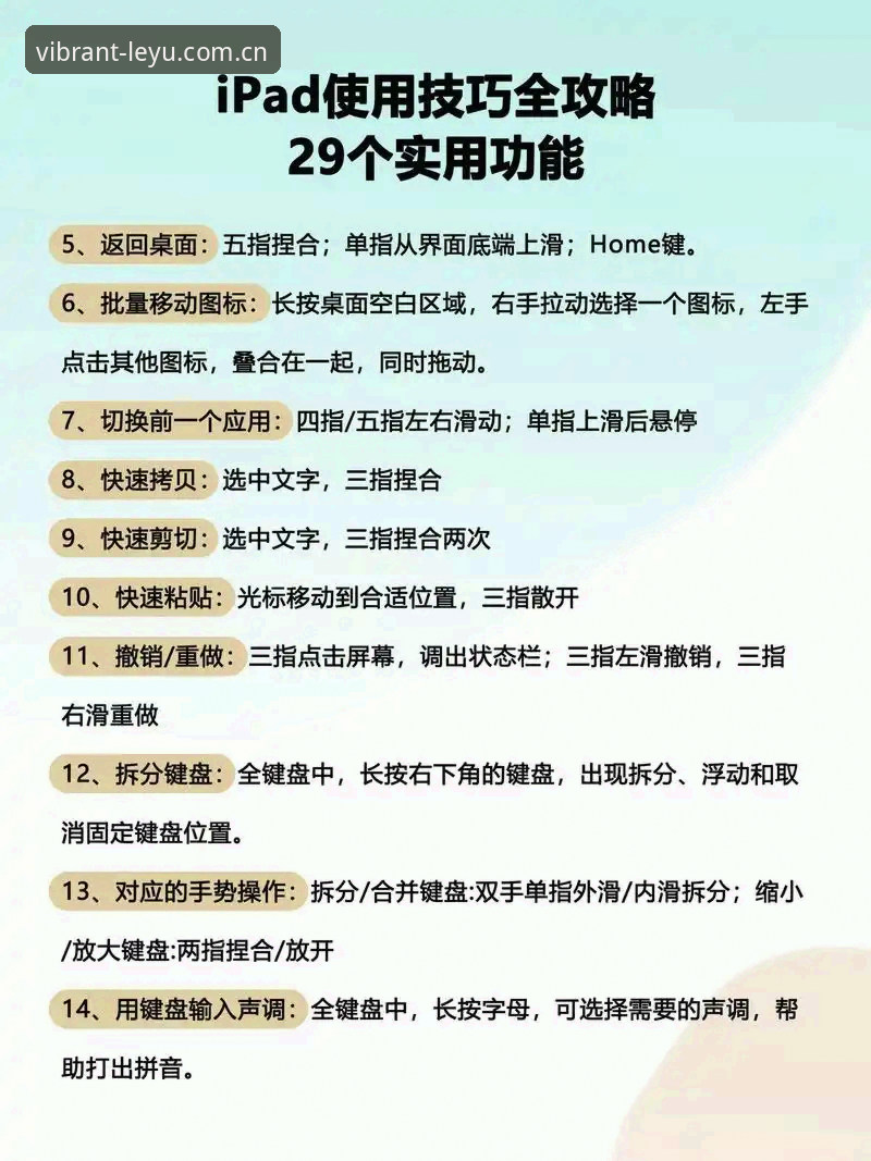 乐鱼体育平台流畅体验使用教程：从下载到实时比分，三步搞定